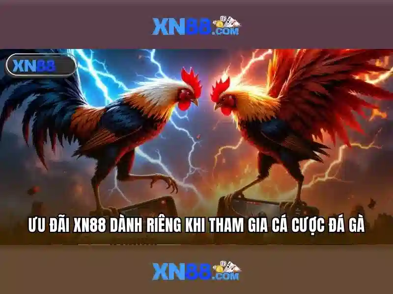 💎nhà cái tặng 28k💎