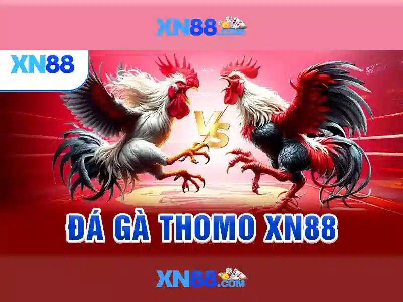 Liên Hệ XN88 Nhanh Chóng Và Tiện Lợi - XN88