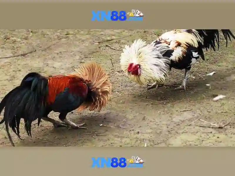 💎sin88 website💎 - tải sin88 về điện thoại - sin88 anh