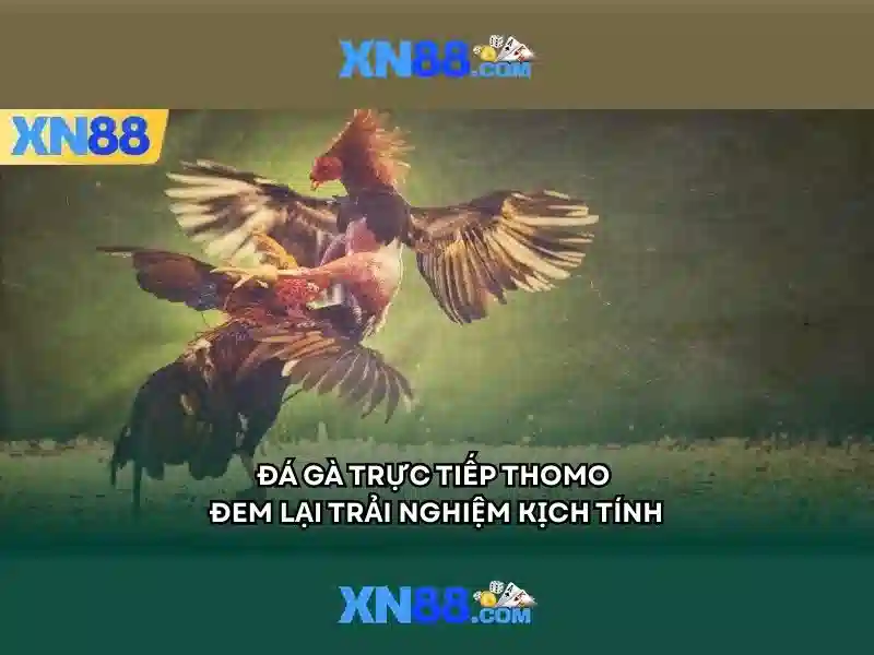 💎kèo nhà cái winbet💎