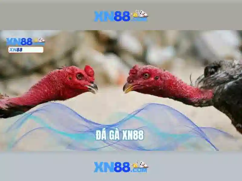 💎đá trực tiếp kèo nhà cái💎