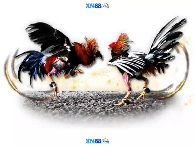 💎kèo nhà cái xem💎