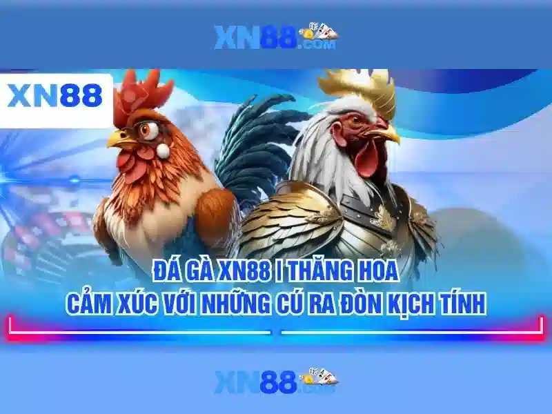 💎cá cược bóng đá quốc tế💎