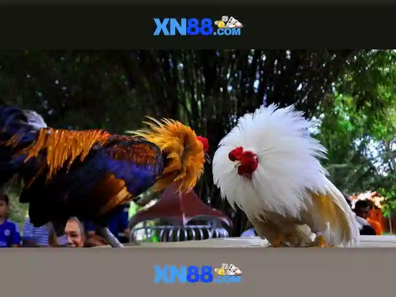 💎nhà cái suncity ac💎