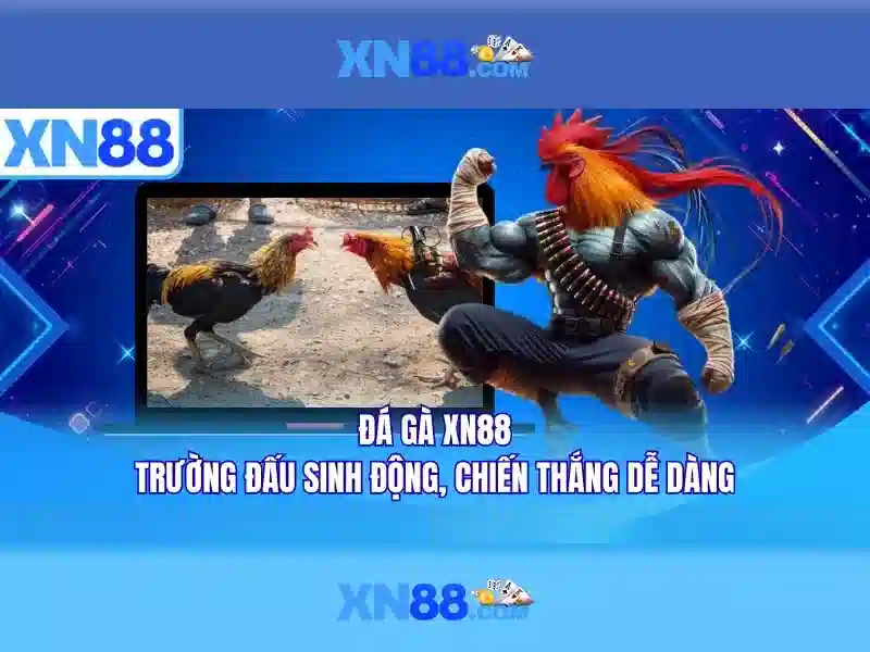 💎tỷ lệ cá cược bong da hom nay💎