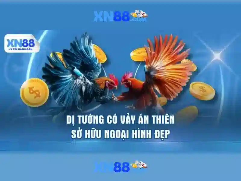 💎nhà xe hải hậu - lào cai💎