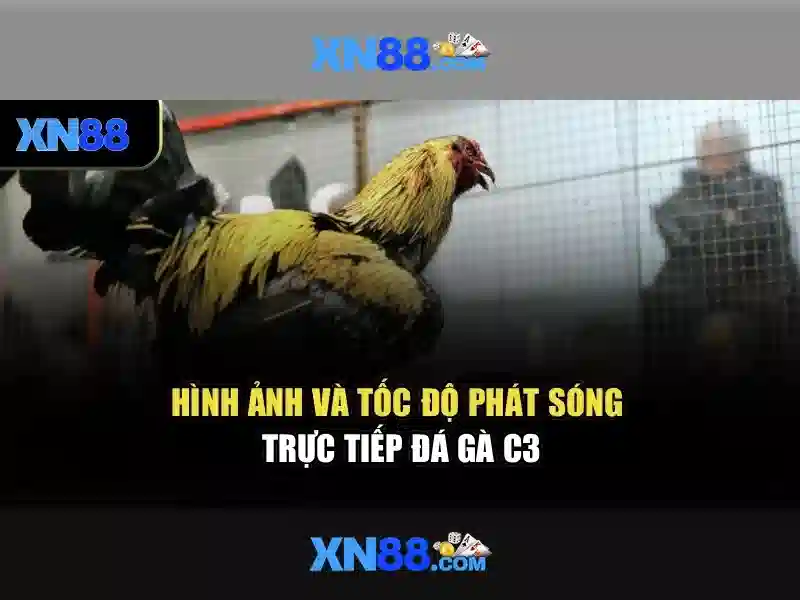 huong dan rut tien XN88 - XN88