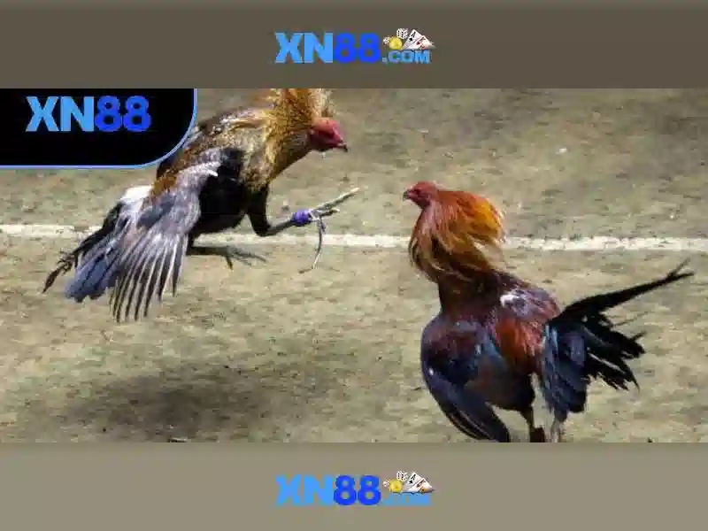 💎xn88 slot robertson💎