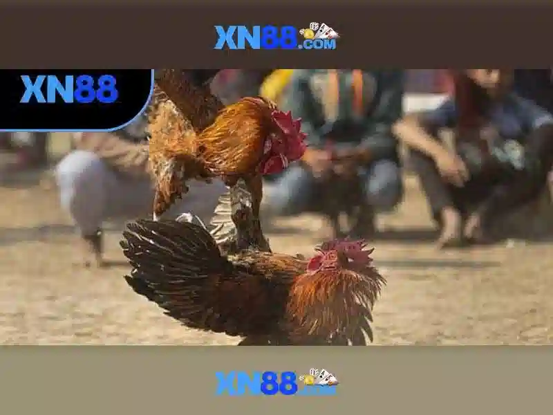 💎888slot 90.com💎