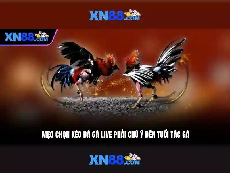 💎vụ án bác sĩ danh sơn đồng nai💎