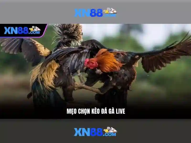 💎trực tiếp bóng đá kèo nhà cái tv💎