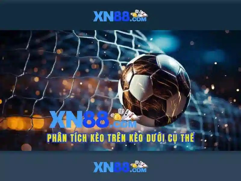 Liên Hệ XN88 – Kết Nối Hỗ Trợ Nhanh Gọn Mọi Vấn Đề - XN88