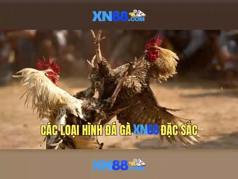 💎cái nhà số mấy💎