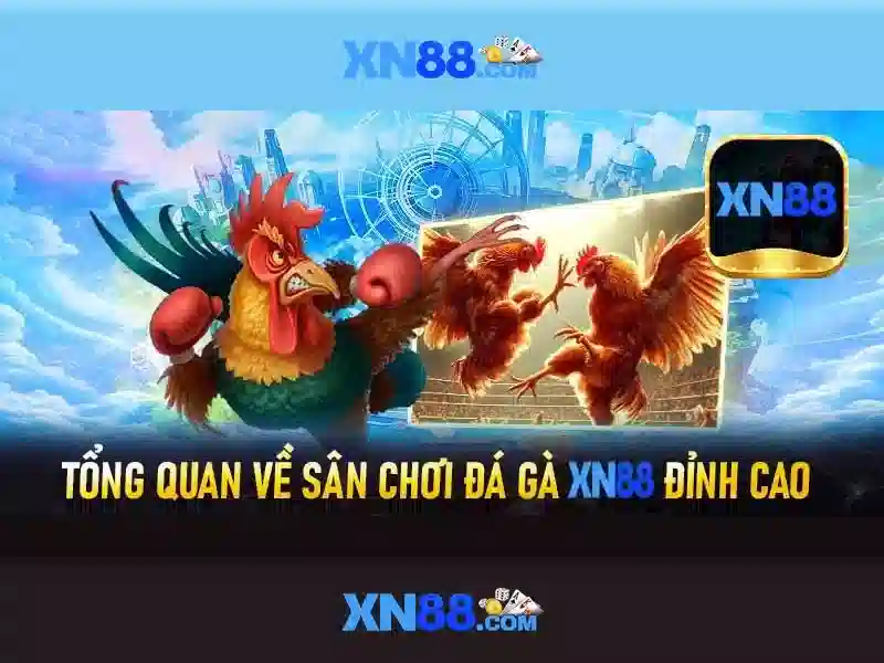 💎xin slot nghĩa là gì💎