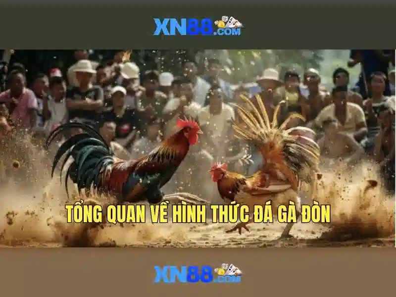 💎bk8 nhà cái uy tín hàng đầu châu á💎