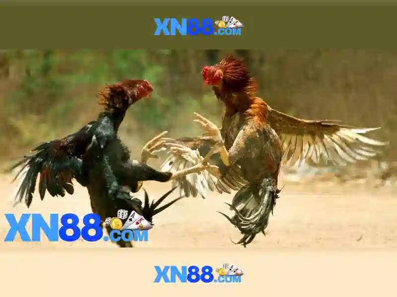 💎pep vs 888 slot slot💎