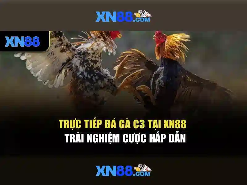 💎xn88 slot post match interview💎