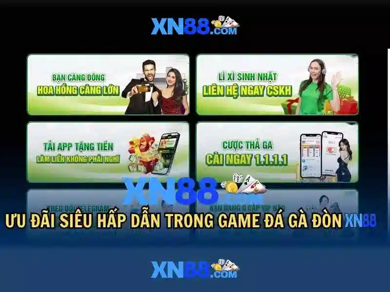 💎đánh bạc fanvip💎