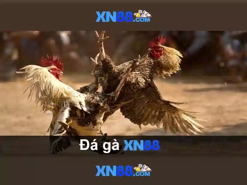 💎tỷ lệ cá cược bóng đá u23 hôm nay💎