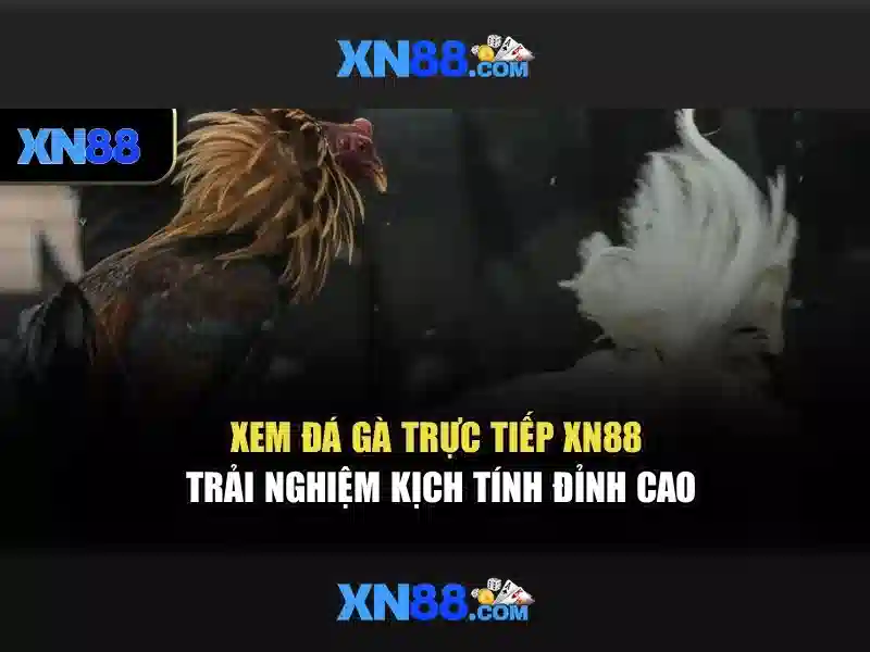 💎nhà cái ok365 nhà cái💎