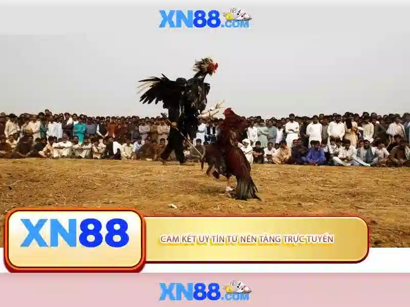 💎> nhà cái uy tín link💎