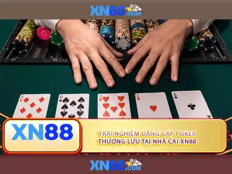 💎danh sách nhà cái💎