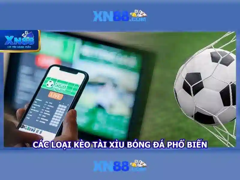 💎một cây cầu bê tông bắc qua con sông💎