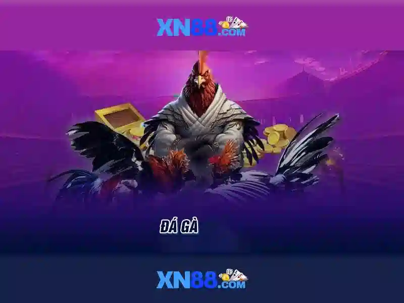 💎xn88 bms💎