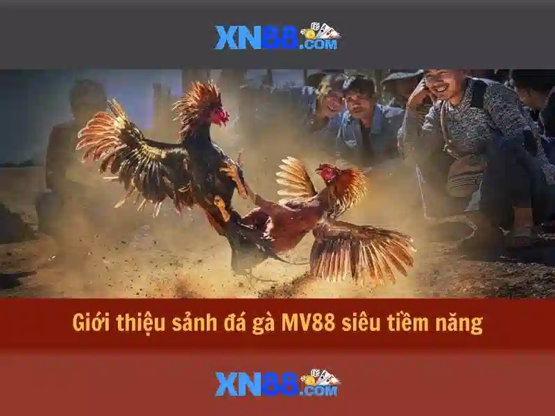 💎nhà cái xoilac💎