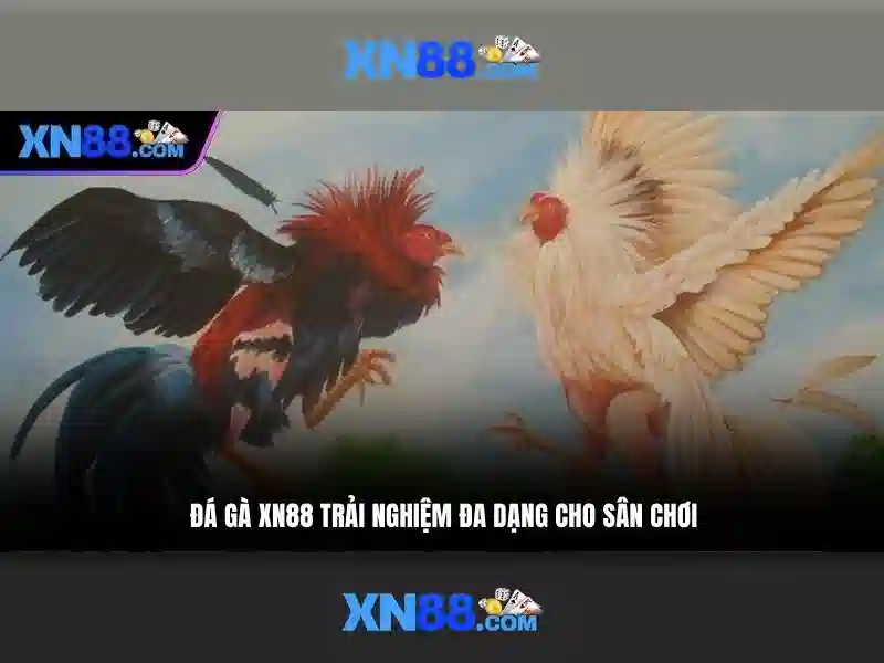💎hb88 lodibet login💎