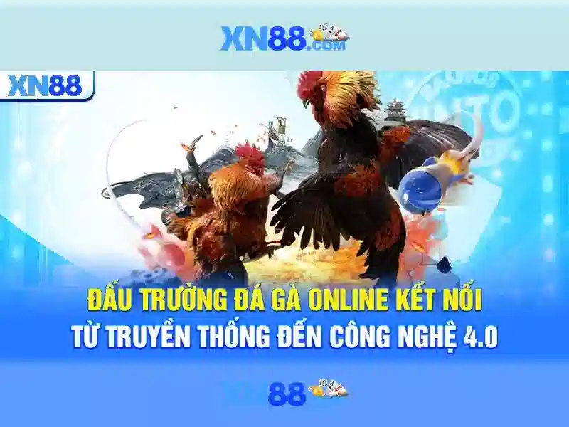 💎các cuộc thi ca hát 2022💎