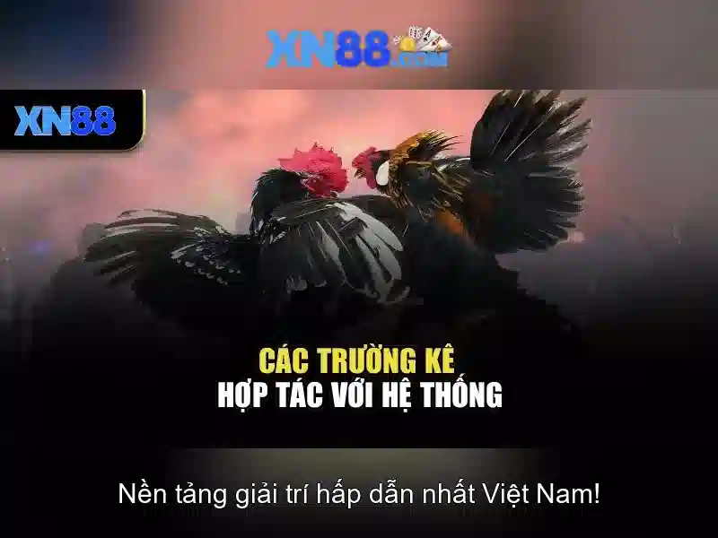 💎kèo nhà cái u17 hôm nay💎