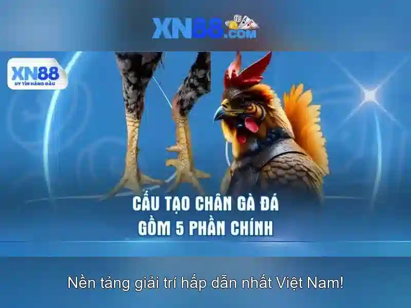 💎người đánh cắp tim em bắc kim thang💎