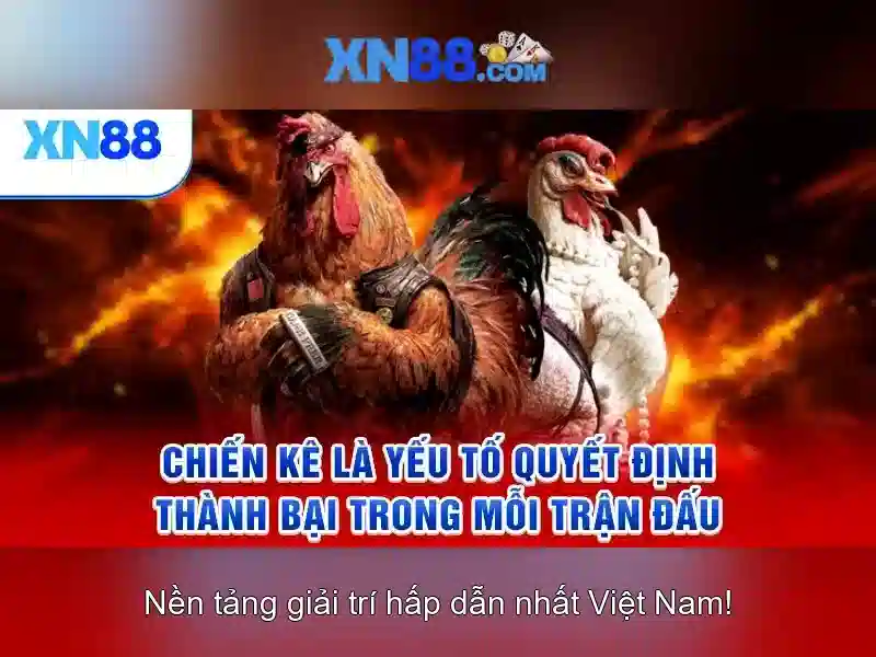 💎f88+nhà+cái💎