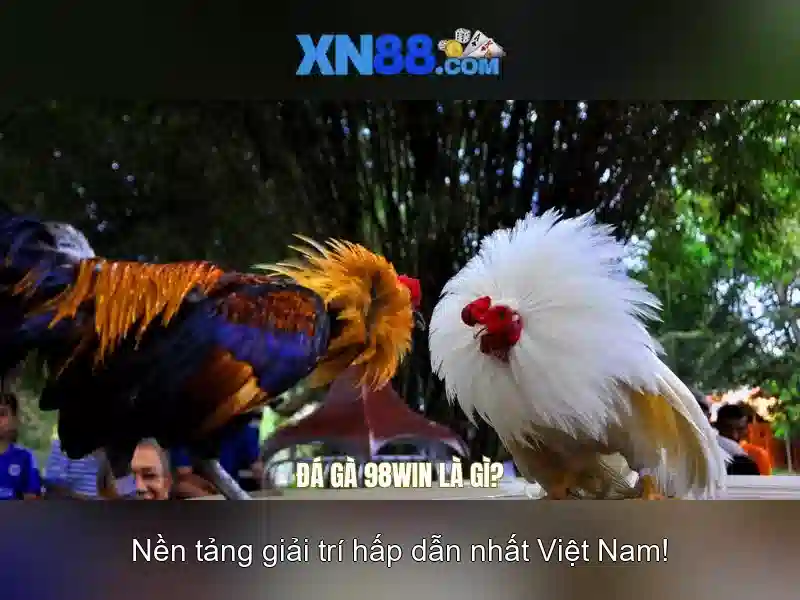 💎nha cai 123b💎 - nha cai 123b