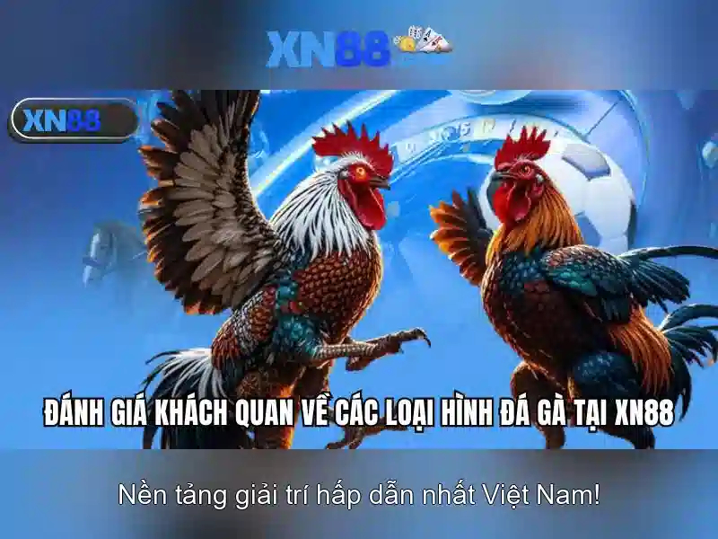 💎keo nha cai olympic nam💎