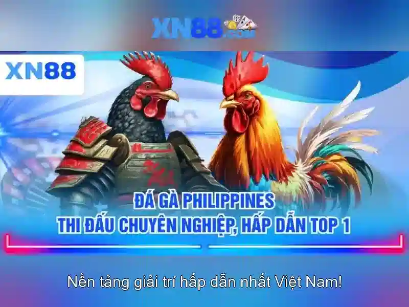 💎xem nha cai💎
