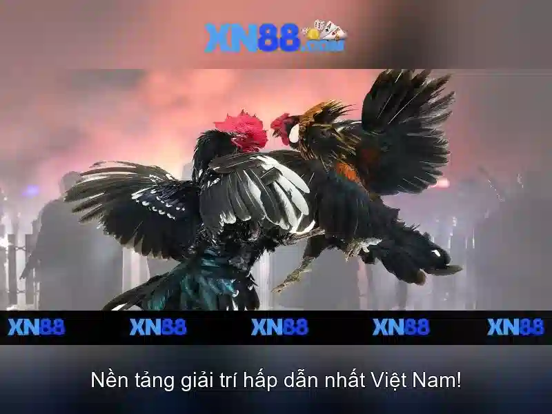 💎love xn88 casino💎