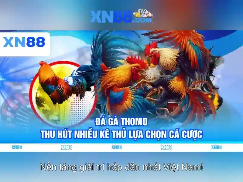 💎888 slot lodibet💎