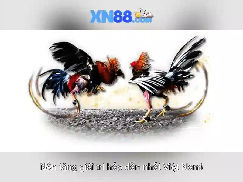 💎habanero slot sites💎