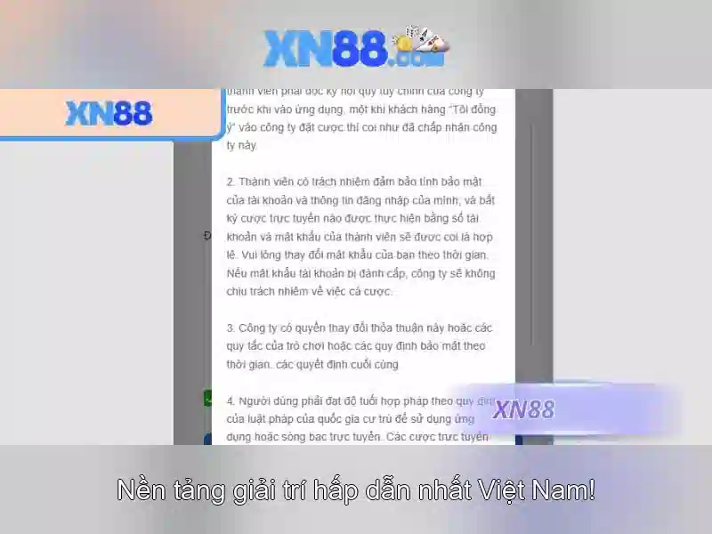 💎xn88 xn888💎