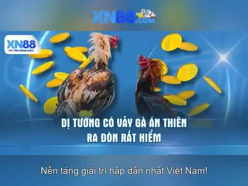 💎nhà cái fb68💎