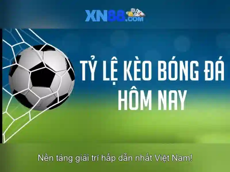 💎bài hát cả cuộc đời vì nước vì non💎