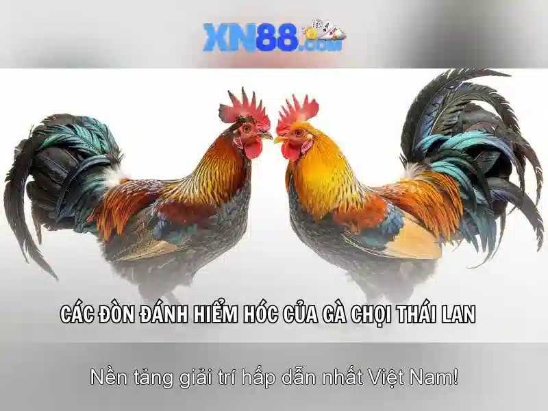 💎cài đặt phòng máy thân thiện tại nhà💎