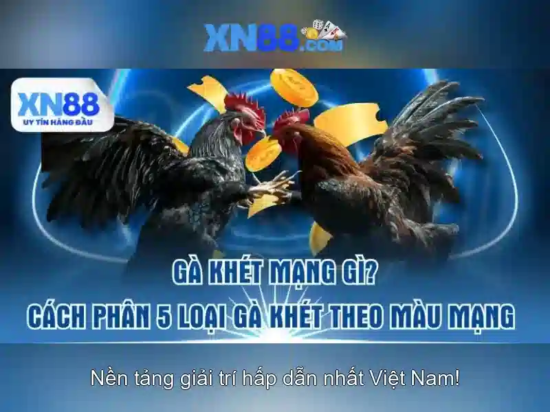 💎game xn88 vn💎
