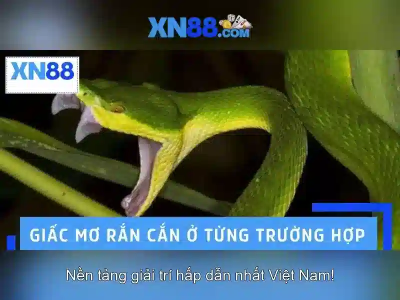 💎Slot365 bị chặn💎