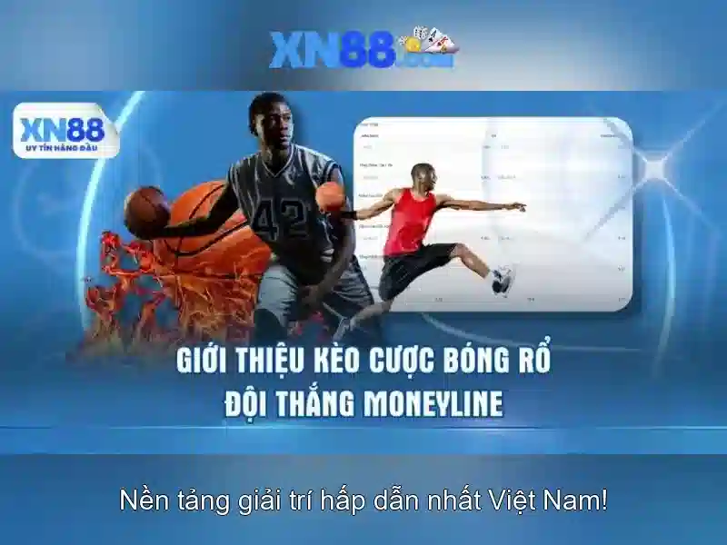 💎xn88 marketing💎
