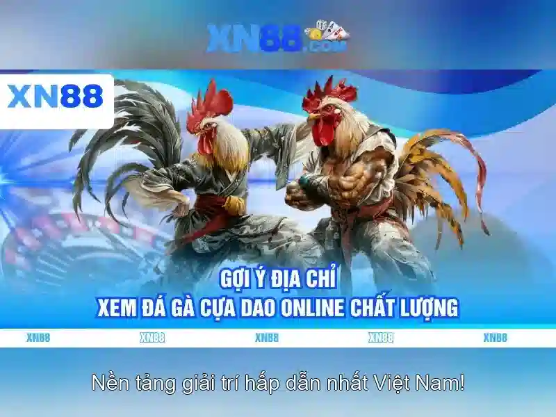 💎tỷ lệ cá cược futsal💎