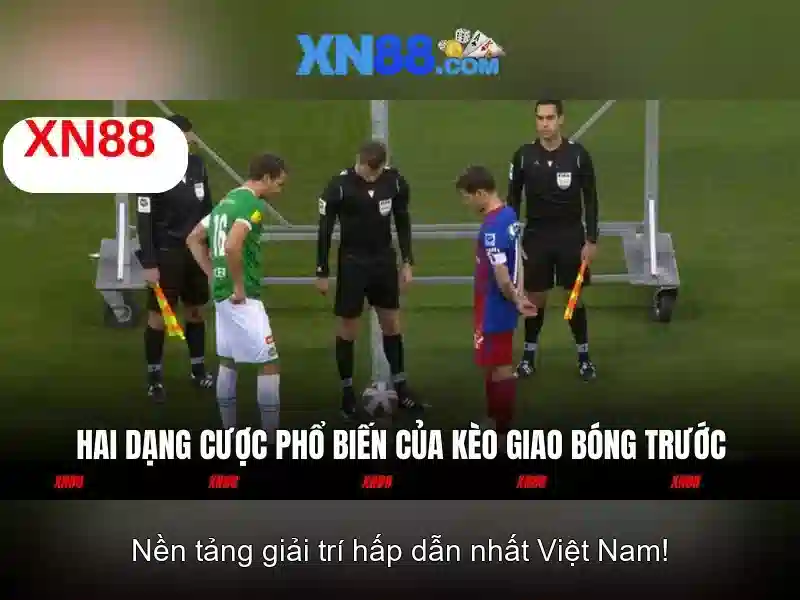 💎nhà an có một cái bể chữ nhật💎