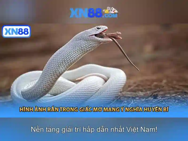 💎888 slot slot az alkmaar💎